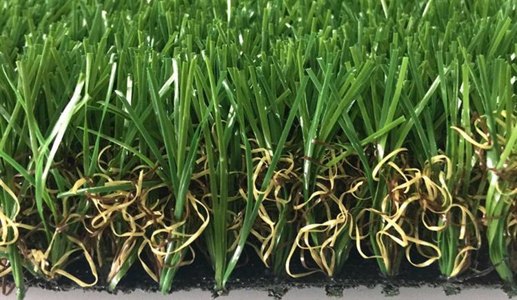 backyard Artificial Grass5 backyard Artificial Grass5