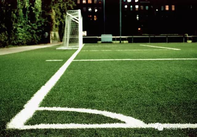 Soccer football field stadium grass