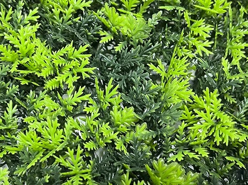 artificial greenery wall artificial greenery wall