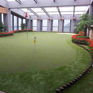 Turf Olahraga Dalam Ruangan