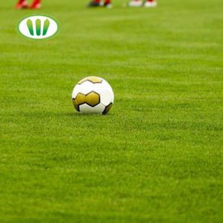 50mm Turf Tinggi Buatan untuk Lapangan Sepak Bola