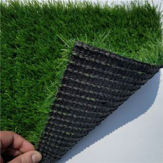 Turf Yard Grass