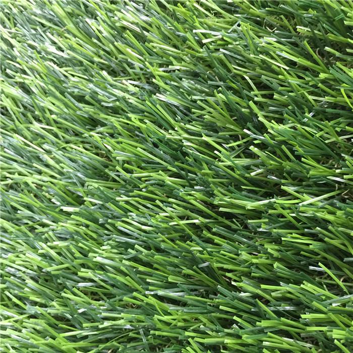 putting green turf2
