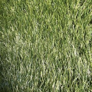 Drainage Artificial Turf