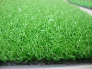 Praktek Indoor Menempatkan Hijau