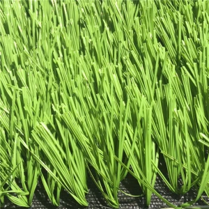 Bidang Turf Alami