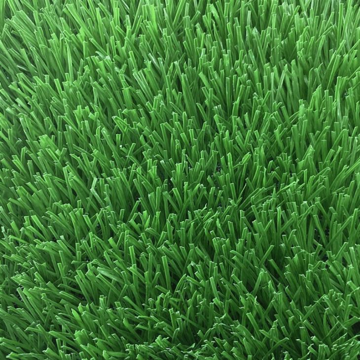 Soccer Football Field Stadium Grass