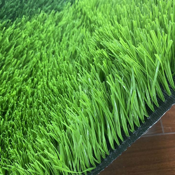 Soccer Football Field Stadium Grass