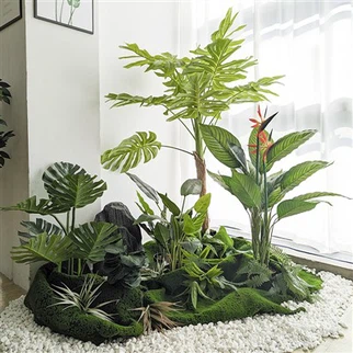 Tanaman Pot Tanaman Hijau Pohon Penyu Besar Gaya Nordic